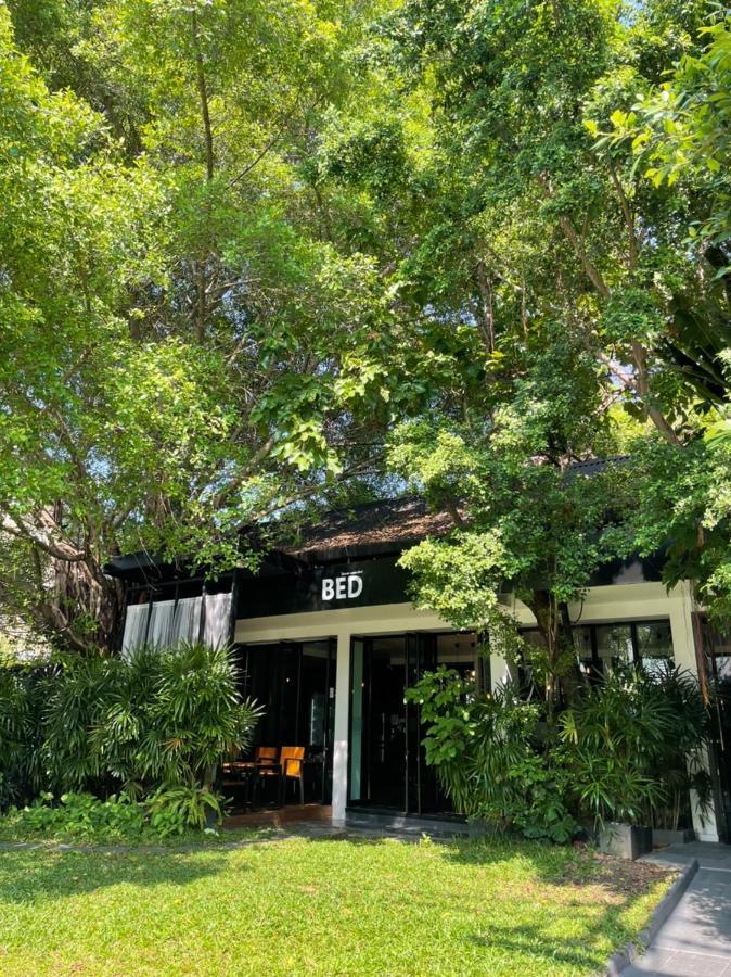 Bed Phrasingh-Adults Only Hotell Chiang Mai Eksteriør bilde